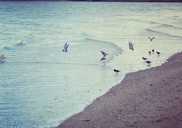 La mer qu'on voit danser ...
